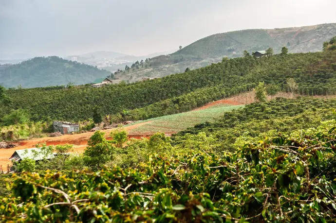 Zanya farm